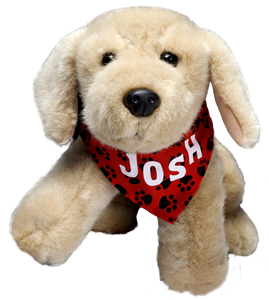 Josh Toy